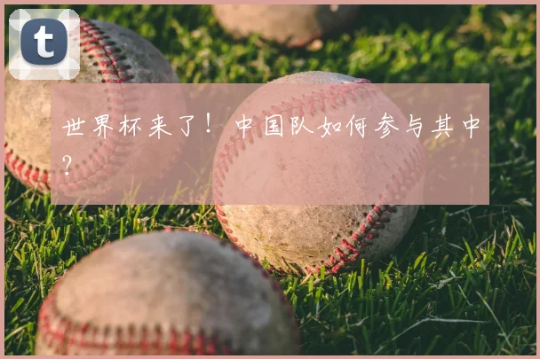 世界杯来了！中国队如何参与其中？