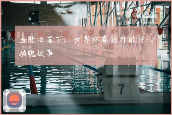 当赌注落下：世界杯赛场外的惊心动魄故事