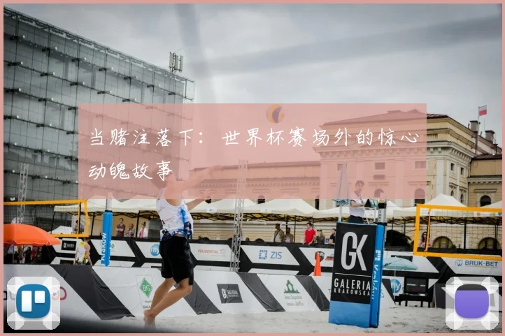当赌注落下：世界杯赛场外的惊心动魄故事
