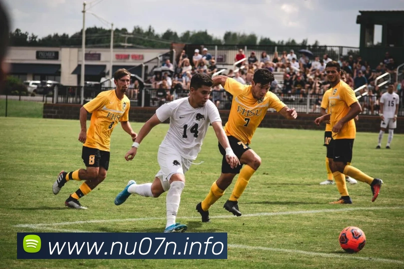 App Interface Preview